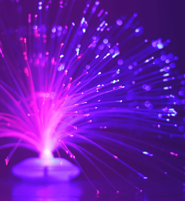 Fiber Optic Lights