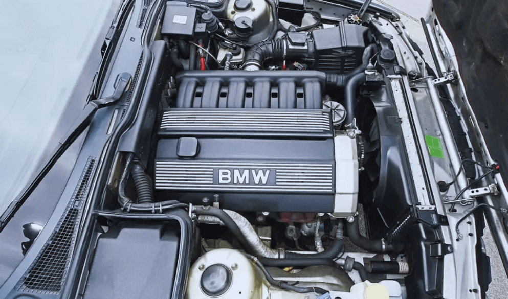 BMW M50 Engine | Technical Specifications & Performance Experience